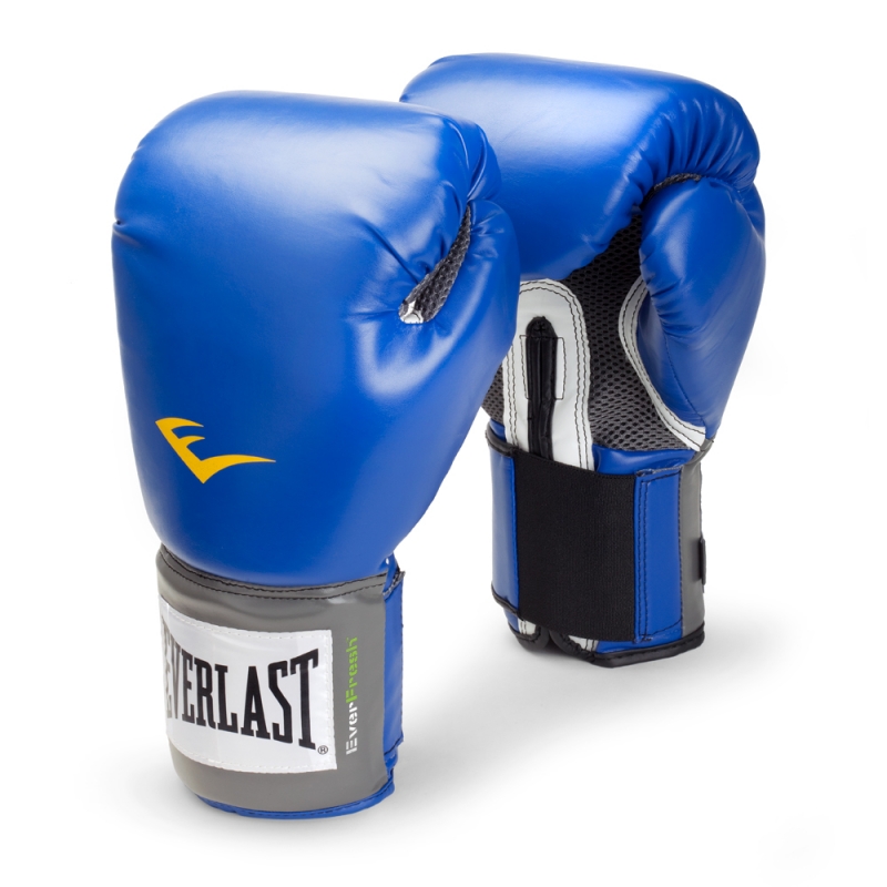 Боксерські рукавички Everlast PRO STYLE